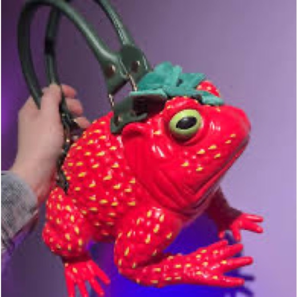 Strawberry windy willow frog purse